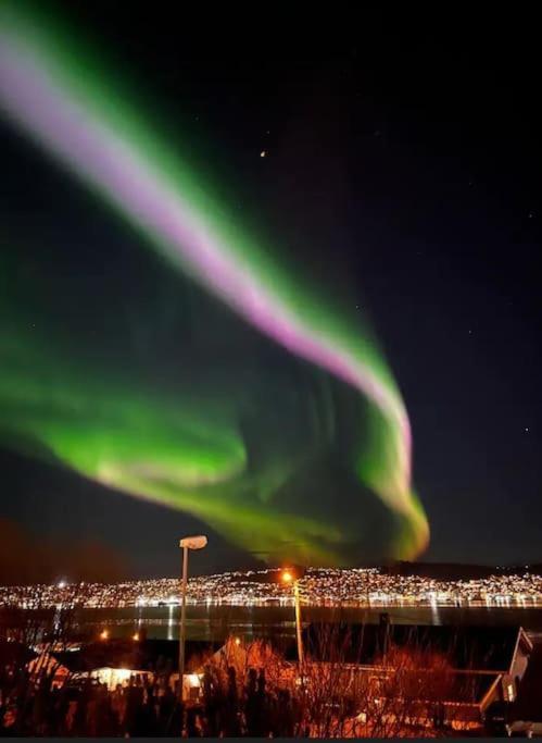 Arctic *